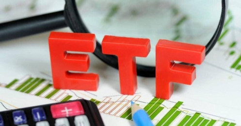 VNM ETF và FTSE ETF sẽ cơ cấu danh mục ra sao trong quý cuối năm 2024?