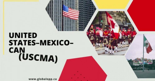 "Hé lộ" lý do ông Trump chọn áp thuế Canada, Mexico và Trung Quốc