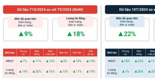 Lượng tin rao bán đất nền bất ngờ tăng 40% trong tháng 10, vượt nhà riêng và chung cư