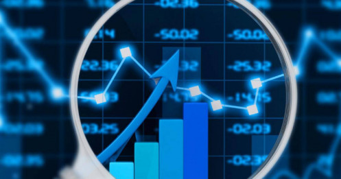 Một cổ phiếu tiêu dùng NĐT có thể lưu ý !