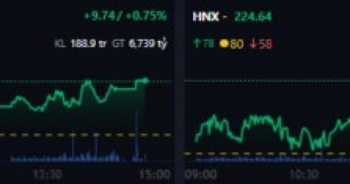 VN-Index bứt phá cuối phiên 29/11, dòng tiền đổ về bảo hiểm, dược phẩm và FPT, cổ phiếu đầu tư tăng mạnh