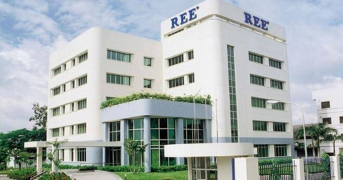 REE: 'Khủng long' tháng 12