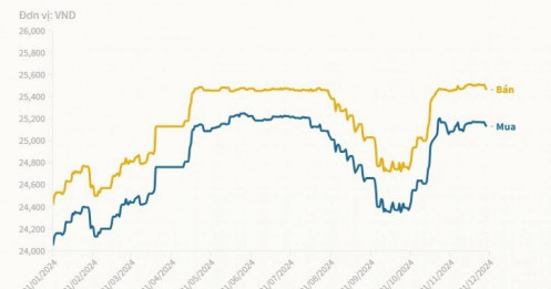 Giá USD ngân hàng lùi về dưới 25.500 đồng