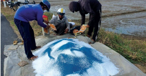 Cổ phiếu phân bón ‘ngóng tin’ từ Quốc hội!