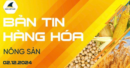 Bản tin nhóm nông sản ngày 02/12/2024