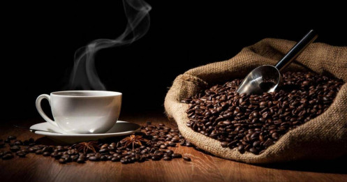 Giá robusta trước ngã rẽ lớn: Phục hồi hay tiếp tục lao dốc?