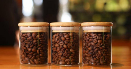 Tại sao giá cà phê đang ở mức cao nhất trong nửa thế kỷ?