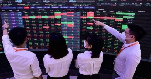 Chuyên gia FiinGroup chỉ tên 2 nhóm cổ phiếu có định giá rẻ, triển vọng lợi nhuận tích cực, dự kiến hút tiền trong thời gian tới