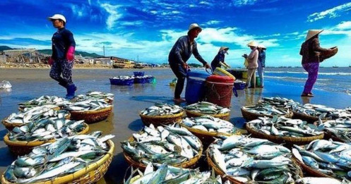 Thủy sản tiếp tục là điểm sáng của nông nghiệp tháng 11