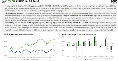 Tỷ giá USD/VND dần ổn định: Động thái linh hoạt từ NHNN