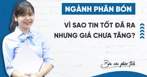Ngành phân bón – Vì sao tin tốt đã ra nhưng giá chưa tăng?