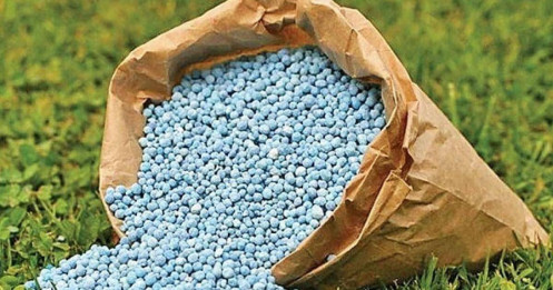 Ngành phân bón sẽ đối diện với những rủi ro gì?