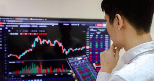 SSI Research: Tận dụng biến động thị trường "gom" 4 nhóm cổ phiếu có yếu tố hỗ trợ, định giá thấp