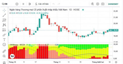 Từ đầu tháng 12, 160 triệu cổ phiếu EIB được sang tay thỏa thuận
