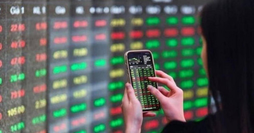 Cổ phiếu HDB, FPT, BVH được “gom” mạnh trong phiên 10/12