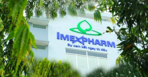 [VIDEO] Cổ phiếu IMP, kỳ vọng gì?