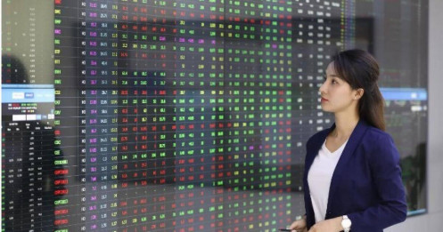 Kinh nghiệm đầu tư cổ phiếu "ngách"