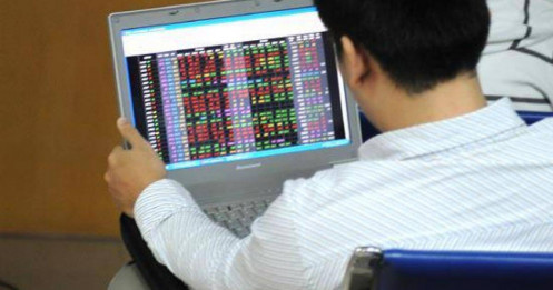 Chứng khoán 12/12/2024: Thị trường sắp bùng nổ? Bí mật đằng sau phiên giao dịch giằng co!