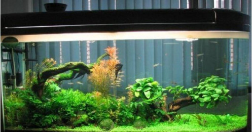 Người xưa dặn kỹ: Không đặt 5 thứ này ở góc nhà kẻo của cải tiêu tan, tài lộc đứt đoạn!