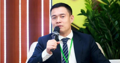 Đầu tư 2025: "Bật lò xo" bất động sản, dài hạn với chứng khoán?