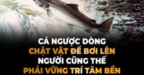 Thắng không kiêu, bại không nản