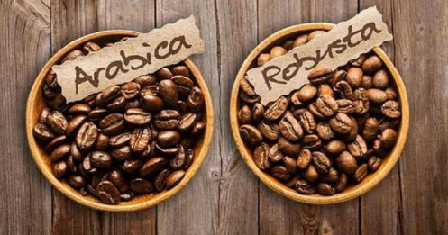 Robusta coffee ngày 16/12/2024: Góc nhìn đầu tư cá nhân