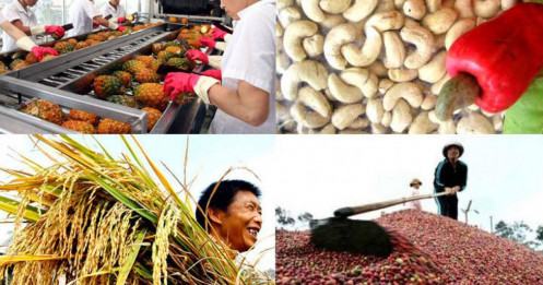 Các yếu tố ảnh hưởng đến thị trường tương lai nông sản