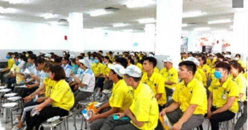 Ai là người nhận lương 370 triệu/tháng, thưởng Tết nửa tỷ đồng?