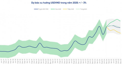 'Chính sách thuế quan của ông Trump khiến USD mạnh lên, tỷ giá có thể dậy sóng'