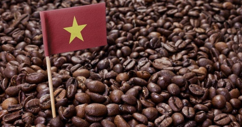 Tình hình thị trường cà phê toàn cầu: Cơ hội và thách thức cho Việt Nam