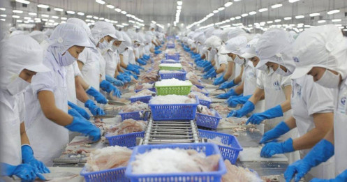 Báo cáo và nhận định tổng quan về VHC