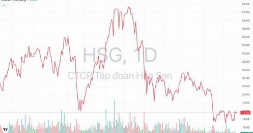 Tập đoàn Hoa Sen (HSG) hé lộ kế hoạch mua lại cổ phiếu từ cổ đông