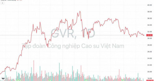 CEO Cao su Việt Nam (GVR): Lãi năm nay tăng 11%, dự báo giá cao su năm sau tăng 16,5%