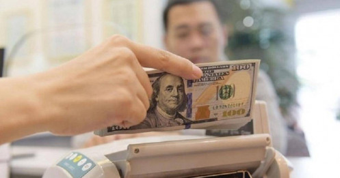Một năm biến động của tỷ giá