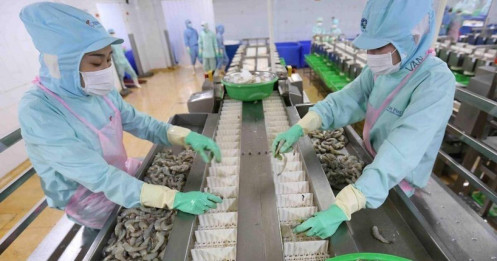 Kỳ vọng xuất khẩu thủy sản sẽ tiếp tục giữ 'phong độ' trong năm 2025