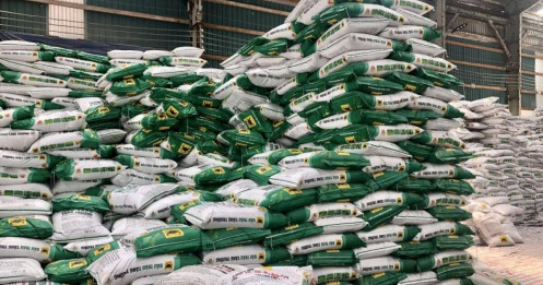 Kỳ vọng đột phá: Đạm Cà Mau đặt mục tiêu doanh thu kỷ lục hơn 13,000 tỷ đồng