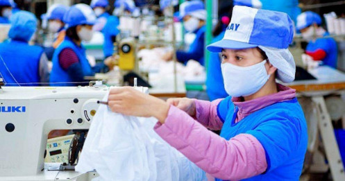 Dệt may Phong Phú (PPH) vượt mục tiêu lãi, lọp top 5 đơn vị sinh lời tốt nhất Vinatex