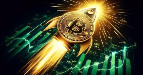 Các nhà đầu tư tổ chức tăng cường lượng nắm giữ Bitcoin