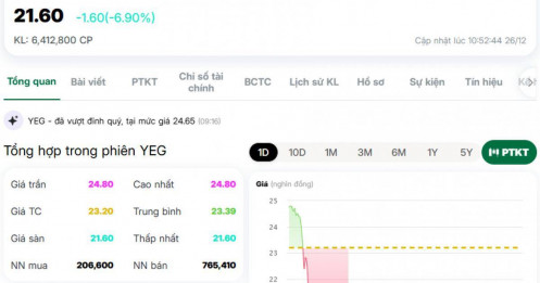 Cổ phiếu YEG giảm sàn, mất thanh khoản sau chuỗi tăng nóng