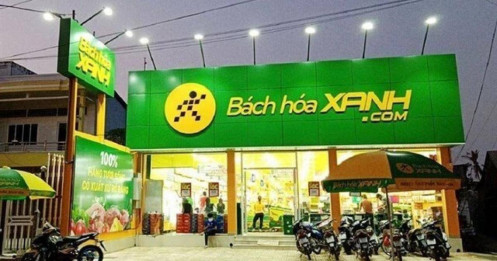 Bách hoá Xanh lên tiếng vụ bán giá đỗ ngậm hoá chất, ăn nhiều có thể tử vong