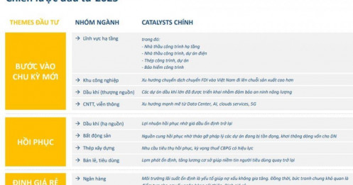 'So bó đũa, chọn cột cờ' chủ đề đầu tư năm 2025