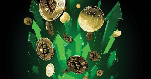 Năm của Bitcoin
