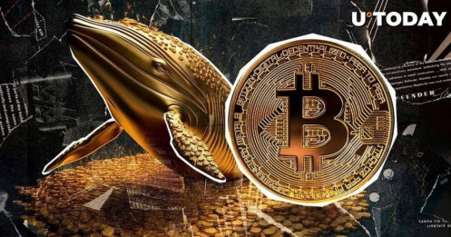 Cá voi Bitcoin khổng lồ thức dậy sau 11 năm, dự báo giá Bitcoin năm 2025