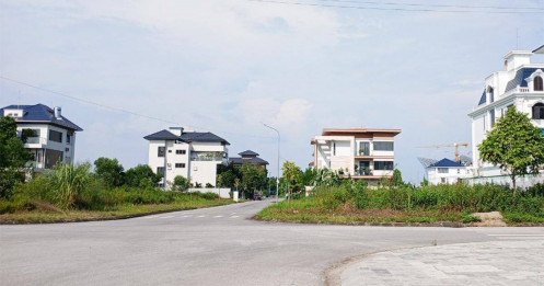 Giới đầu cơ tranh thủ 'thời điểm vàng' để gom đất, chuyên gia cảnh báo nóng