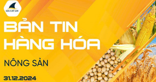Bản tin nhóm nông sản ngày 31/12/2024