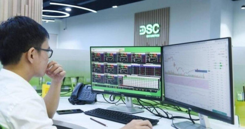 Những nhóm ngành nào được kỳ vọng là đầu tàu dẫn dắt thị trường trong năm 2025?