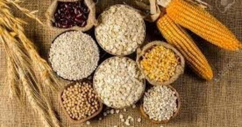 Tổng kết năm 2024 và định hướng thị trường ngũ cốc năm 2025