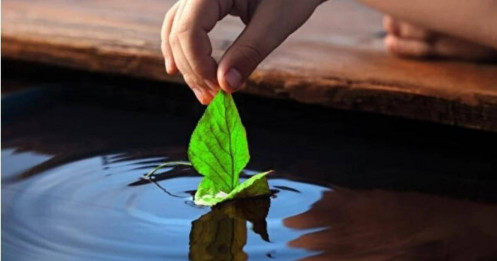Ở đời, biết buông bỏ những điều này mới là người khôn ngoan