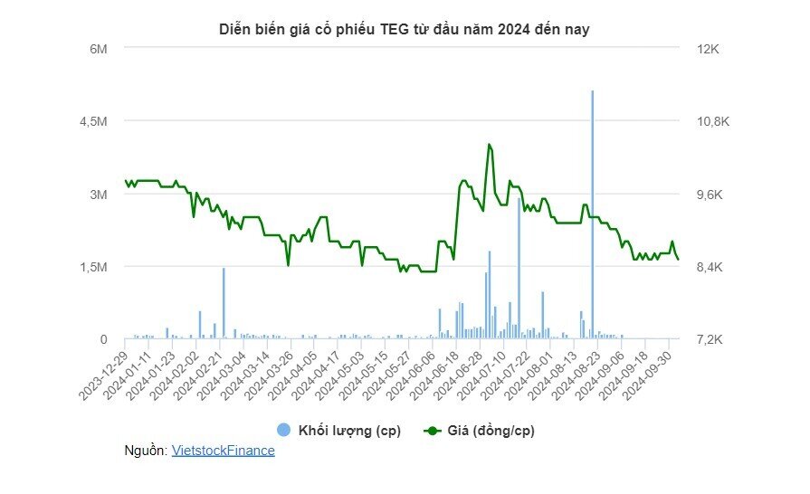 Vi phạm về thuế, TEG phải khắc phục, nộp phạt gần 2.4 tỷ