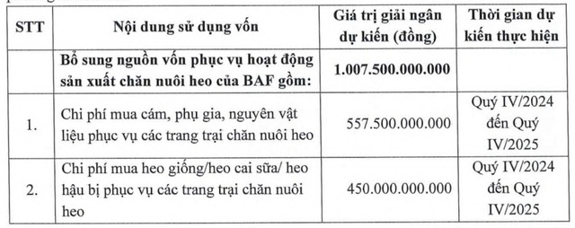 BAF muốn phát hành 65 triệu cổ phiếu riêng lẻ với giá thấp hơn 30,18% thị trường